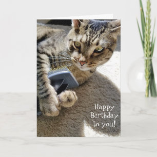 Verjaardag Tabby kat met borstel Kaart