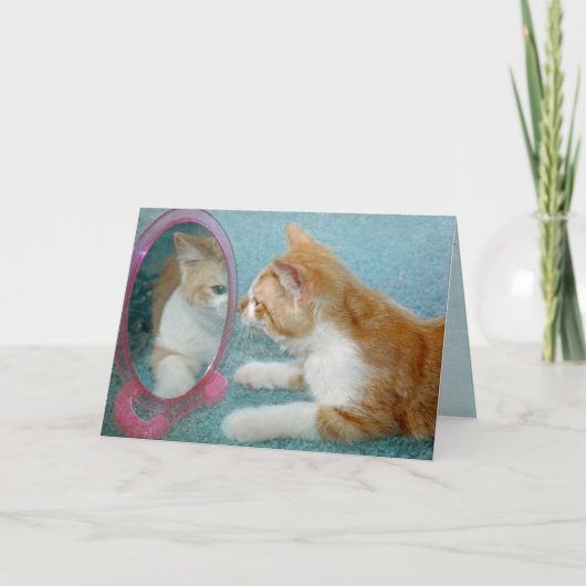 Verjaardag Tabby Kat Wordt Ouder Humor Kaart (Voorkant)