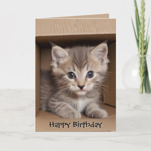 Verjaardag Tabby Kitten In Kartonnen Doos Kaart