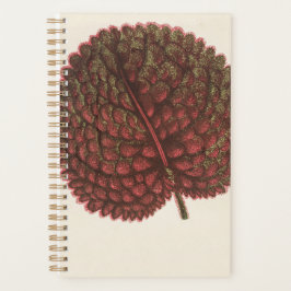 Verjaardag Tuin Gift Planten 2022 Planner