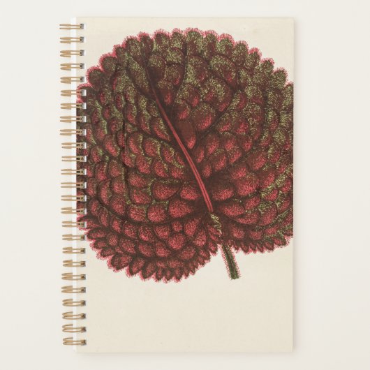 Verjaardag Tuin Gift Planten 2022 Planner (Voorkant)