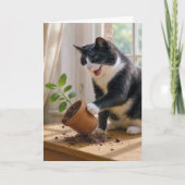 Verjaardag Tuxedo Cat Knocking Over een Plant Kaart (Voorkant)