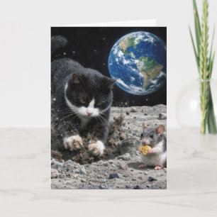 Verjaardag Tuxedo Kat Graaft een Maankrater Kaart