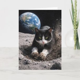 Verjaardag Tuxedo Kat Graaft een Maankrater Kaart