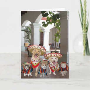 Verjaardag uit groep in het Spaans Kaart