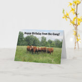 Verjaardag uit groep kaart (Gele Bloem)