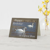 Verjaardag van de baas - Mute Swans op Winter Pond Kaart (Gele Bloem)