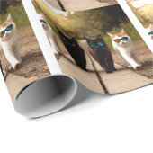 VERJAARDAG VAN DE COOLE KAT CADEAUPAPIER (Rol Hoek)