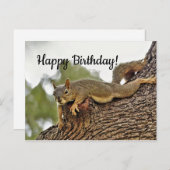 Verjaardag van de eekhoorn die achterover in de bo briefkaart (Voorkant / Achterkant)