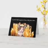 Verjaardag van de kat over de heuvel kaart (Gele Bloem)