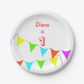 Verjaardag van de kleurrijke kinderen papieren bordje (Voorkant)