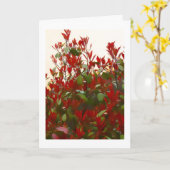 Verjaardag van de Photinia-struik Kaart (Gele Bloem)