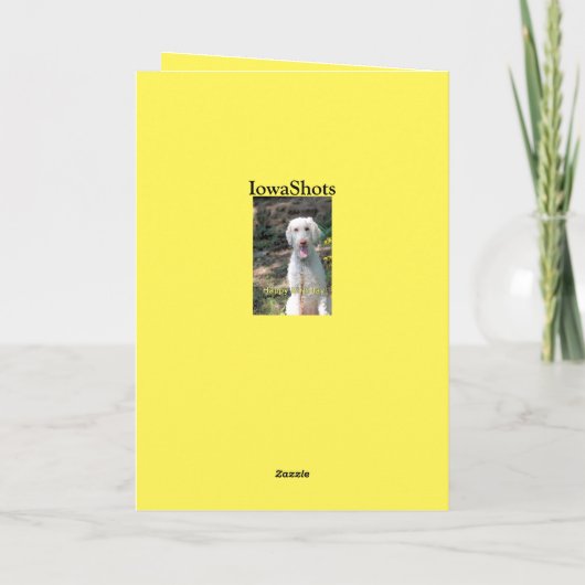 Verjaardag van de poedel kaart (Achterkant)