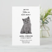 Verjaardag van een knuffelbaar kitten  kaart (Staand voorkant)