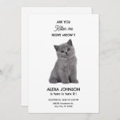 Verjaardag van een knuffelbaar kitten  kaart (Voorkant / Achterkant)