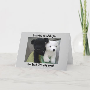 Verjaardag van een schattige hond en beer kaart