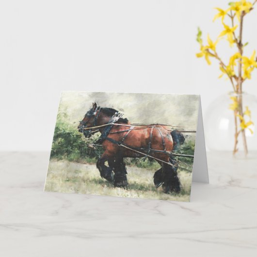 Verjaardag van het Draft Horse Team Kaart (Gele Bloem)