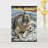 Verjaardag van het Duitse Herder Wenskaart Kaart (Gele Bloem)