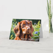 Verjaardag van het Irish Red Setter Hondenliefhebb Kaart (Voorkant)