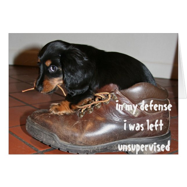 Verjaardag van hond puppy kauwen grappig (Voorkant Horizontaal)