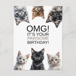 Verjaardag van kattenvrouw | OMG! Het is je verjaa Briefkaart