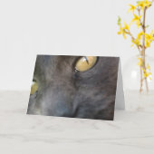 Verjaardag van Nosy Cat Kaart (Gele Bloem)