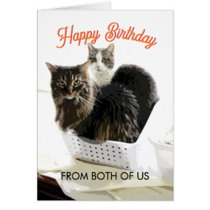 Verjaardag van ons beiden met leuke kattenplaat 