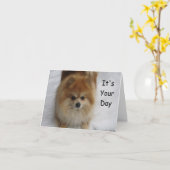 VERJAARDAG VAN POMMEREN GROETEN KAART (Gele Bloem)