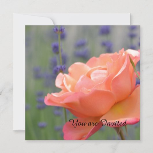 Verjaardag van roos en lavendel kaart (Voorkant)