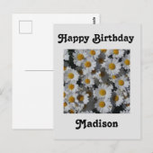 Verjaardag van witte madeliefjes briefkaart (Voorkant / Achterkant)