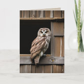 Verjaardag Verblote Uil in Schuur Raam Kaart (Voorkant)