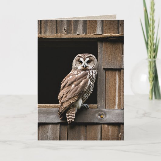 Verjaardag Verblote Uil in Schuur Raam Kaart (Voorkant)