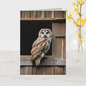 Verjaardag Verblote Uil in Schuur Raam Kaart (Gele Bloem)