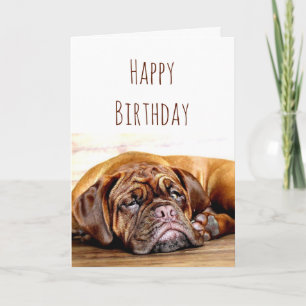 Verjaardag Verdrietige Hond Blijf Positief Humor Kaart