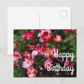 Verjaardag Vier Juli Roos #1 Ansichtkaart Briefkaart (Voorkant / Achterkant)