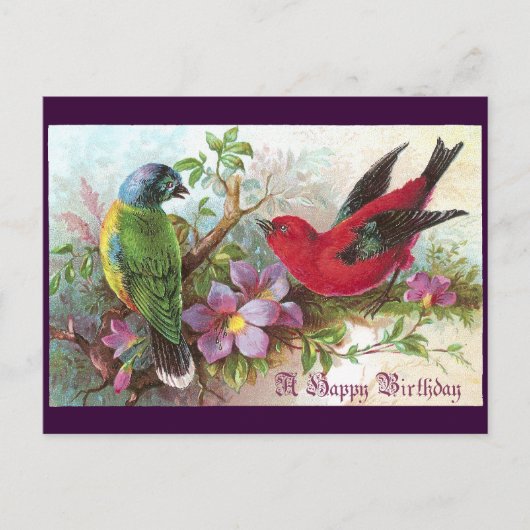 Verjaardag vogels 1800 briefkaart (Voorkant)