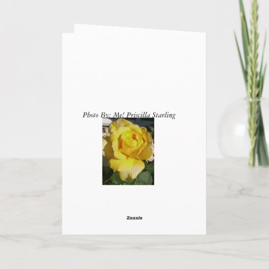 Verjaardag voor iedereen, gele roos. kaart (Achterkant)