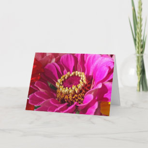 Verjaardag voor mama, roze Zinnia-bloem Kaart