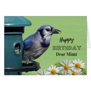 Verjaardag voor Mimi Blauwe Gaai bij Vogelveerder 