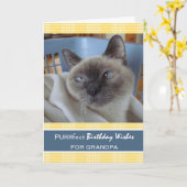 Verjaardag voor opa, kat in wasmand kaart (Gele Bloem)