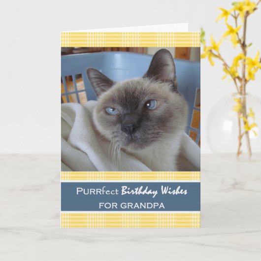 Verjaardag voor opa, kat in wasmand kaart (Gele Bloem)