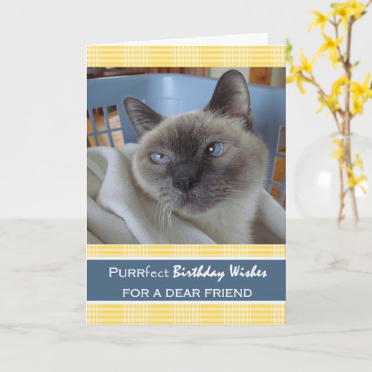 Verjaardag voor vriend, kat in wasmand kaart (Gele Bloem)