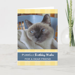 Verjaardag voor vriend, kat in wasmand kaart