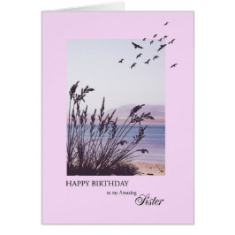 Verjaardag voor zus, aan zee scene