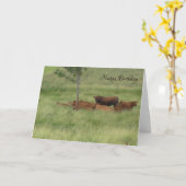 Verjaardag Vreedzame Dag Koeien in het Veld Kaart (Gele Bloem)