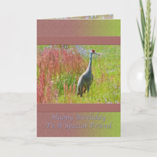 Verjaardag, vriend, Sandhill Crane Bird Kaart