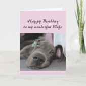 Verjaardag Vrouw Fun Dog Definitie van Relax Humor Kaart (Voorkant)