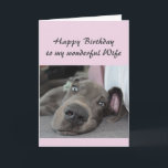 Verjaardag Vrouw Fun Dog Definitie van Relax Humor Kaart<br><div class="desc">Happy Birthday Vrouw Definitie van Relax Humor Groet met leuke ontspannende Great Dane Dog</div>