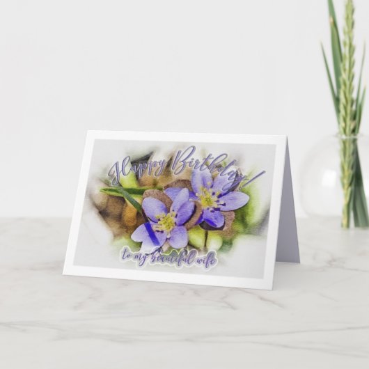 Verjaardag vrouw - Hepatica wilde bloem Kaart (Voorkant)