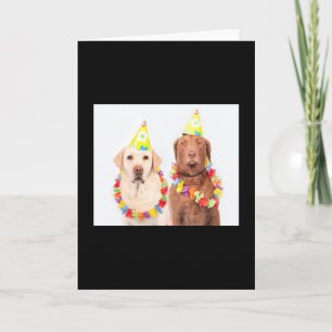 Verjaardag 🎂 wenskaarten, te koop! kaart
